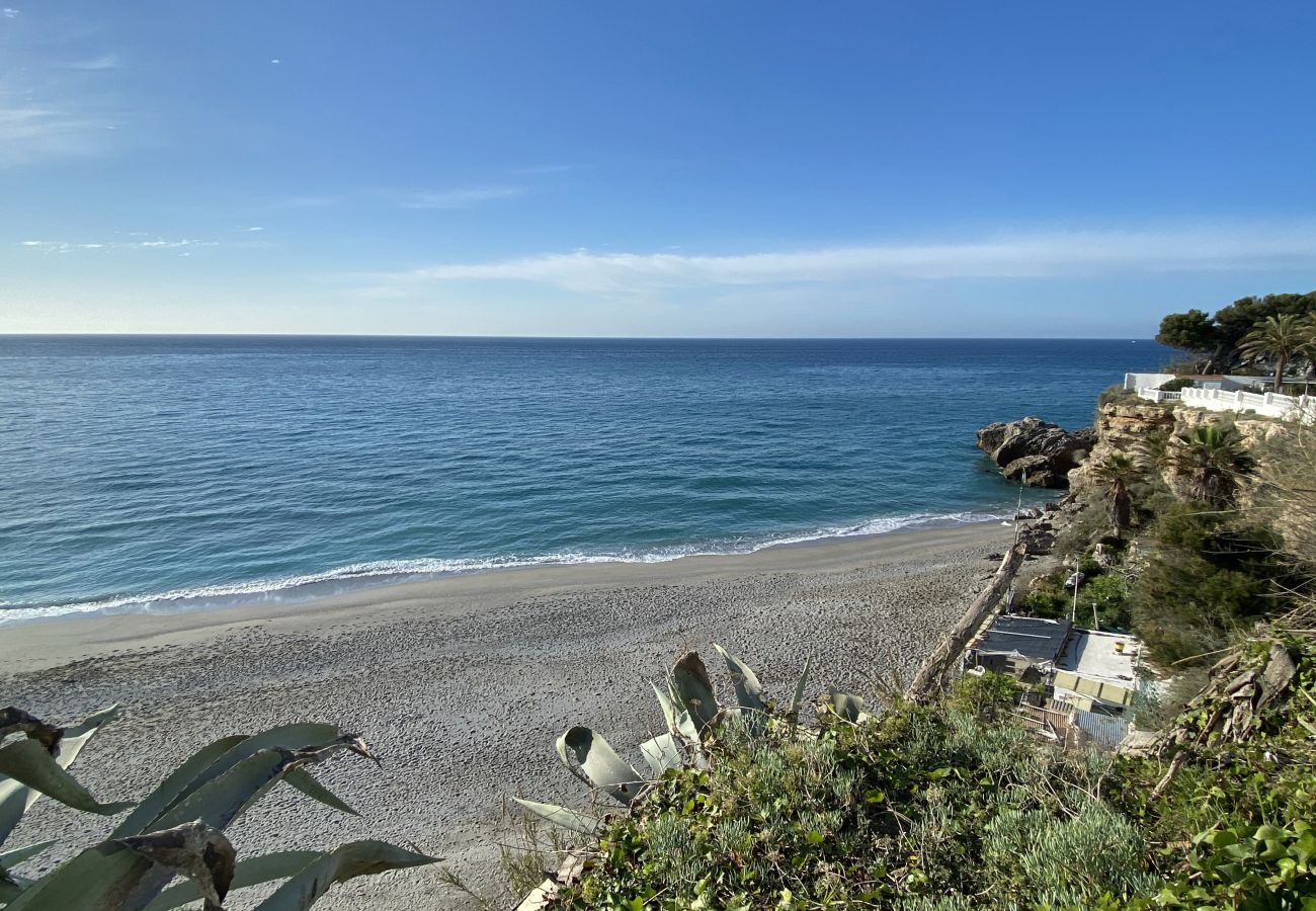 Ferienwohnung in Nerja - Acapulco Playa 412 by Casasol 