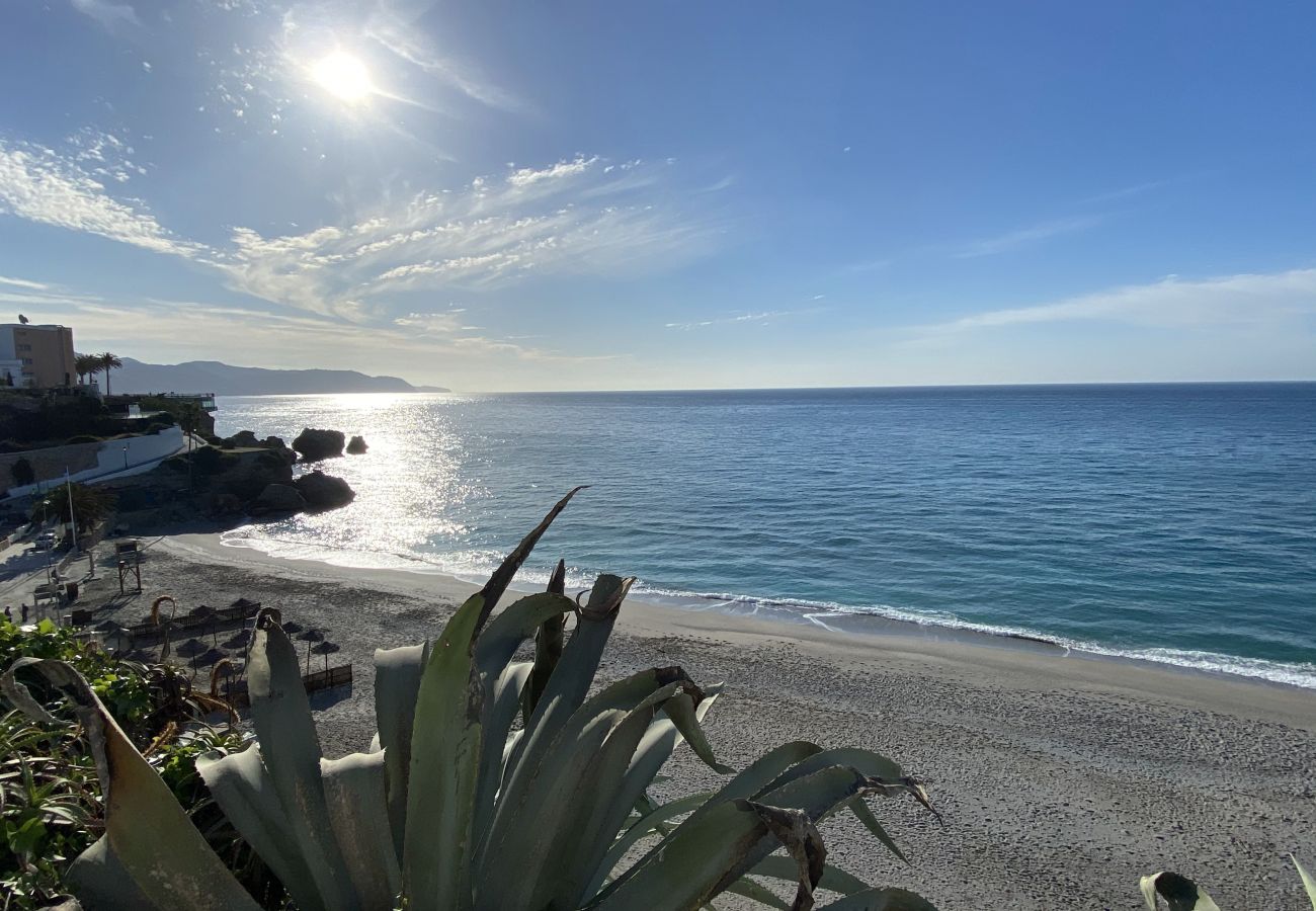 Ferienwohnung in Nerja - Acapulco Playa 412 by Casasol 