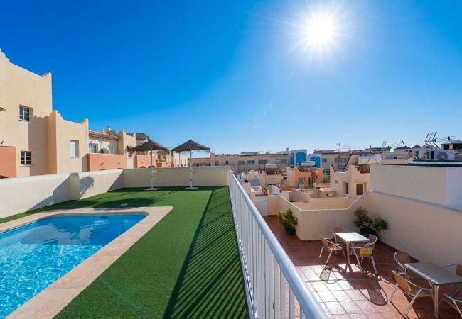 Gemeinschaftspool auf der Dachterrasse mit Liegen in Nerja Torrecilla.