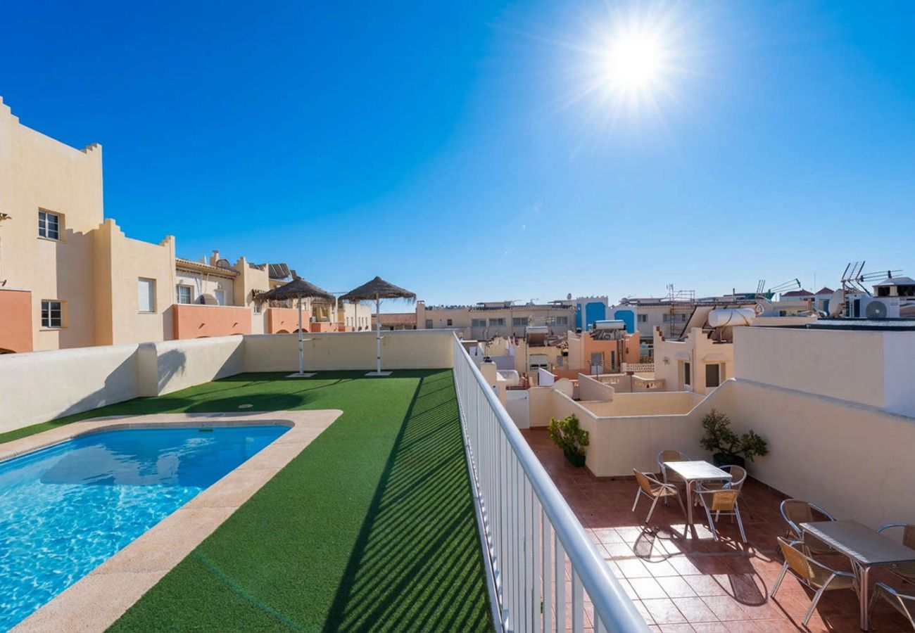 Gemeinschaftspool auf der Dachterrasse mit Liegen in Nerja Torrecilla.