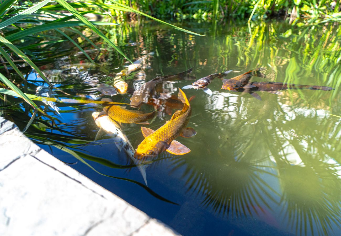 Ferienwohnung in Nerja - Casablanca Sunny Terrace by Casasol