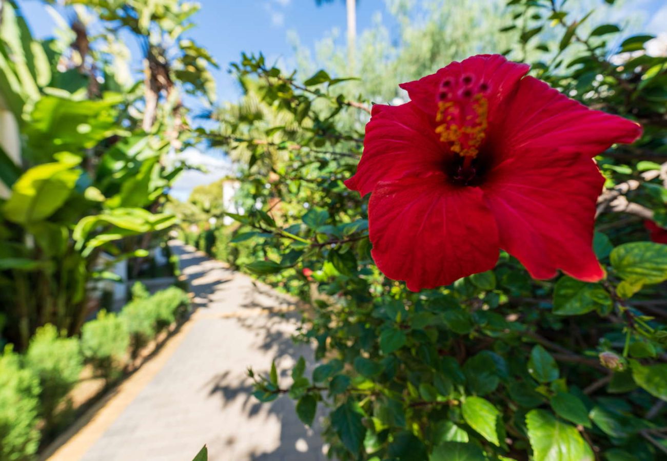 Doppelhaushälfte in Nerja - Jardines de Burriana Deluxe by Casasol