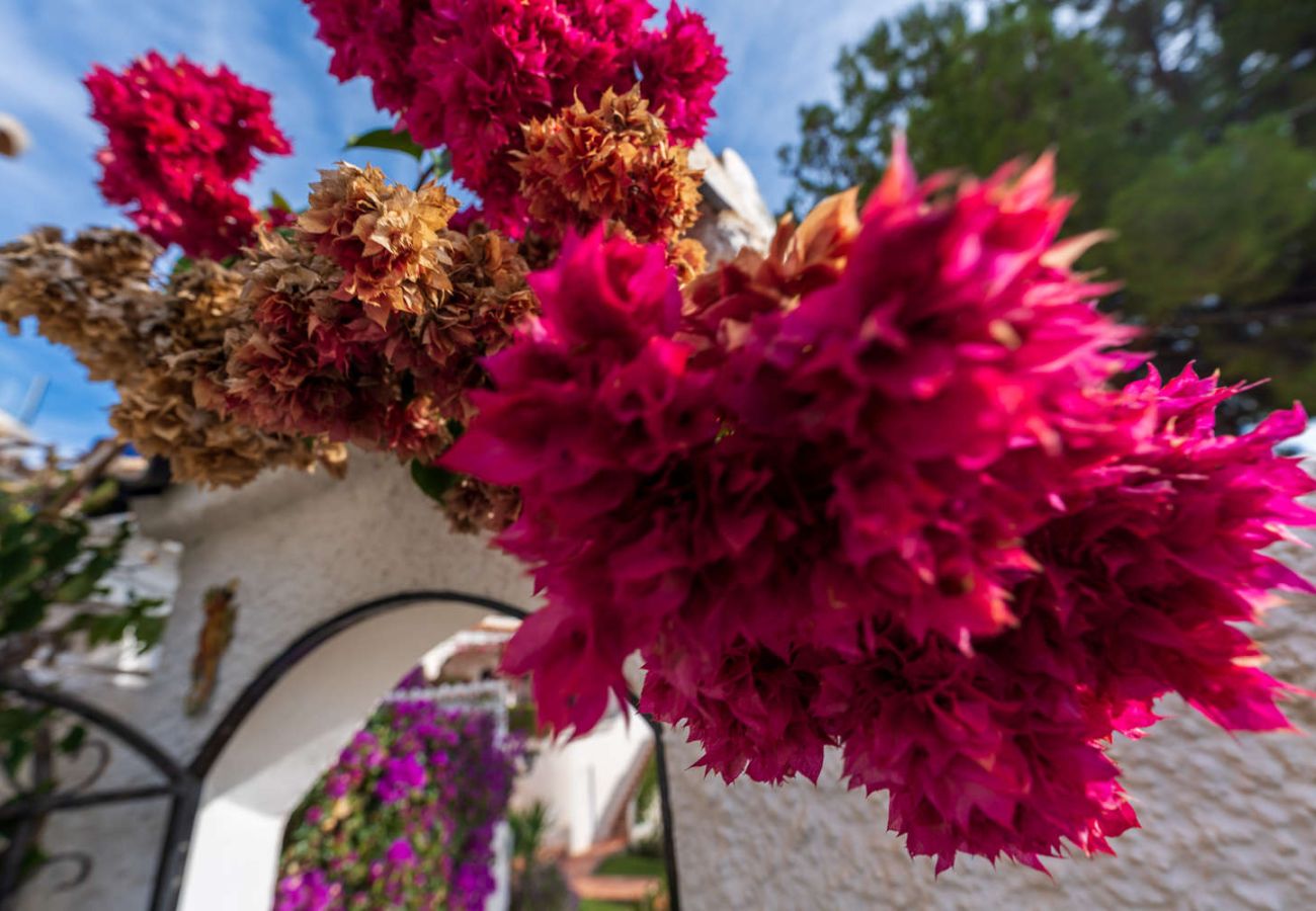 Ferienwohnung in Nerja - Casa Tranquila: Ferienwohnung mit Meerblick in San Juan de Capistrano, Nerja