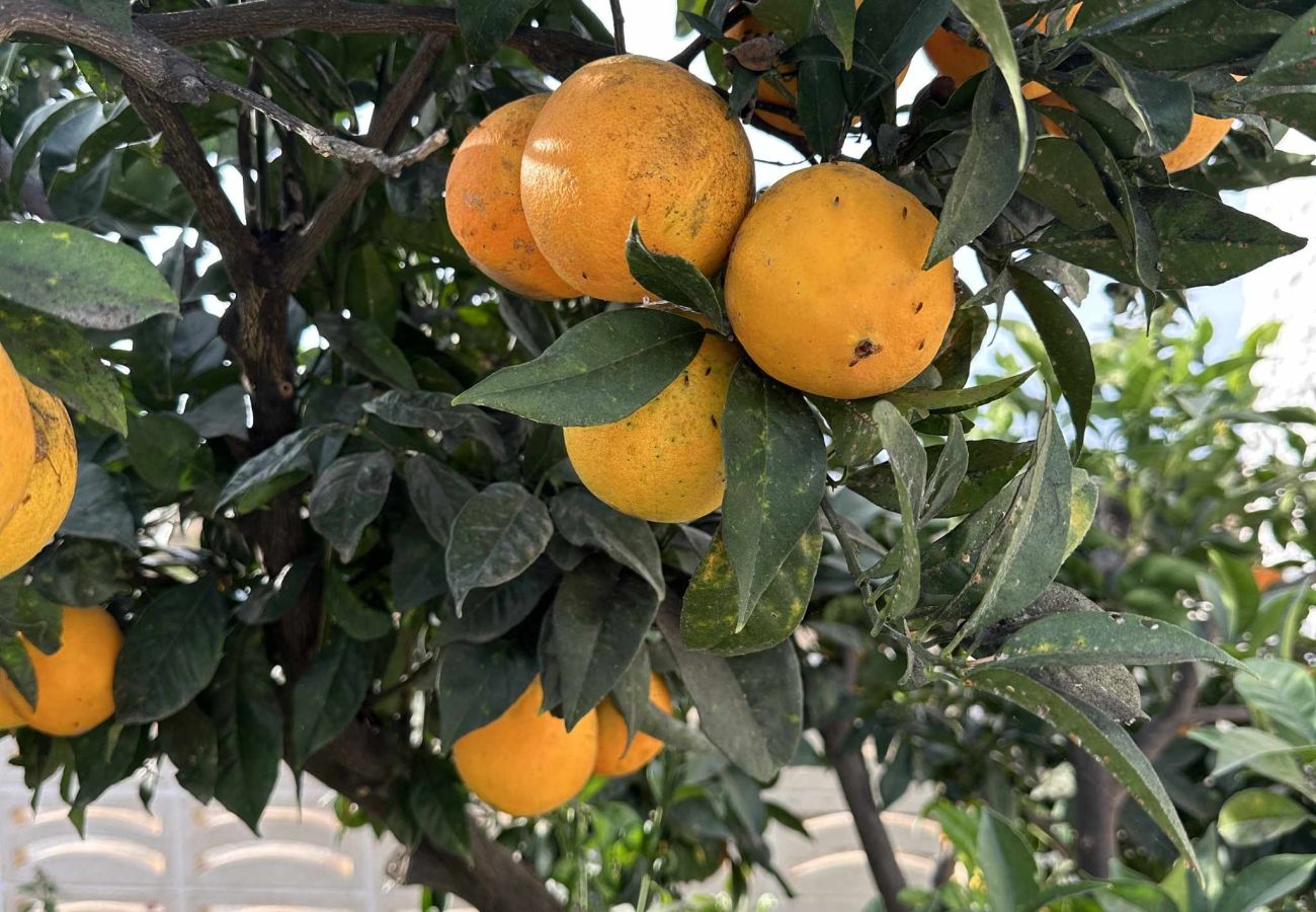 Villa in Nerja - Villa Jackson (La Casita): Villa mit privatem Pool in Fuente del Badén, Nerja